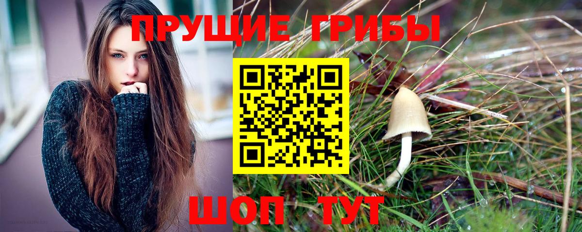 Галлюциногенные грибы MAGIC MUSHROOMS Корсаков