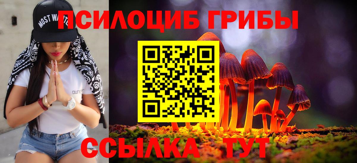 Галлюциногенные грибы Psilocybe  Вход с VPN  Корсаков 